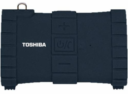 Toshiba Sonic Dive 2 TY-WSP100 black