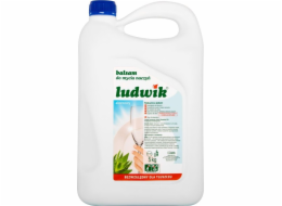 LUDWIK Hypoallergenic Dishwashing Liquid 900 g