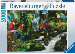 RAVENSBURGER Barevní papoušci v džungli 2000 dílků