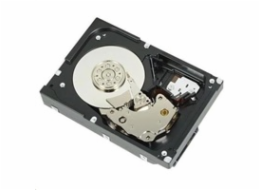 Dell 3.5" 1000 GB Serial ATA III 400-BGEB DELL disk/ 1TB/ 7.2k/ SATA/ 6G/ 512n/ cabled/ 3.5"/ pro T130, T30, T140, T40