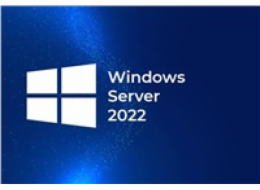 HPE Windows Server 2022 CAL 5 Device