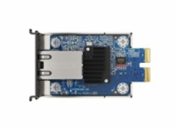 Synology E10G22-T1 Mini PCIX, LAN-Adapter