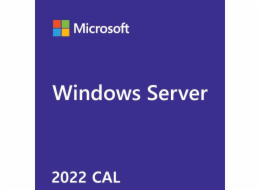 MS 1x Windows Server CAL 2022 1pk DSP OEI 5 Clt Device CAL (PL)