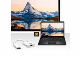 ATEN True 4K DisplayPort to HDMI Active Adapter