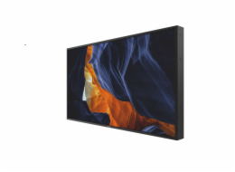 Philips LCD 55BDL6002H - 55" H-Line, D-LED, 24/7, FHD, 2500 cd/m2, 500 000:1, 8ms, LAN