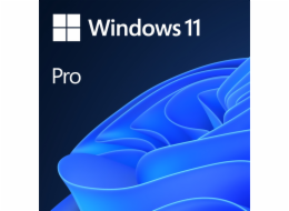 Microsoft Windows 11 Pro 64bit
