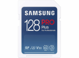 Samsung EVO Plus/SDXC/64GB/UHS-I U1 / Class 10
