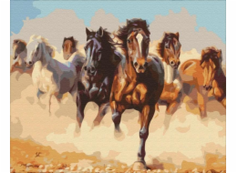 Obraz Malowanie po numerach - Konie w galopie