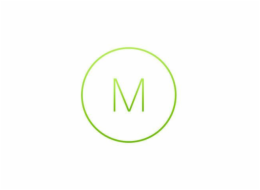 MV Enterprise License and Support, 10 Years