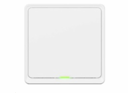 Tesla Smart Switch ZigBee