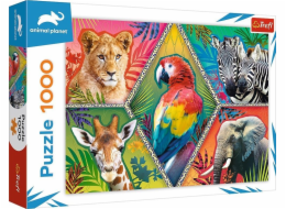 Trefl Puzzle 1 000 dílků Exotická zvířata Planeta zvířat