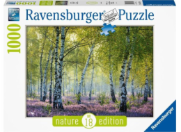 Puzzle Ravensburger 1000el. Březové lesy Nature edition (167531)