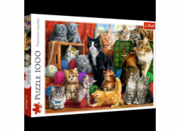 Puzzle 1000 dílků - Kočičí setkání