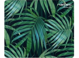 Palma moderního umění Natec (NPF-1431/10) -