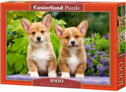 Castorland Puzzle 1000 dílků Corgi štěňata psů
