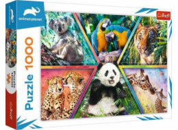 Trefl Puzzle 1 000 dílků Animal Kingdom Animal Planet