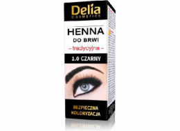 Delia Henna na obočí 1.0 Black