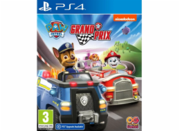 Psi Patrol: Grand Prix PS4