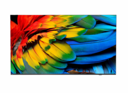 Philips/43HFL6214U/12/43"/4K UHD/Gray