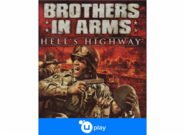 ESD Brothers in Arms Hells Highway