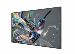 55" D-LED Philips 55BDL3511Q-UHD,IPS,400cd,MP,18/7