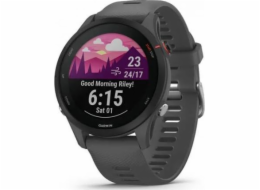 Garmin Forerunner 255 schist/black