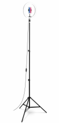 CONNECT IT Selfie12Ring kruhové 12" LED světlo + stativ 2,1 m
