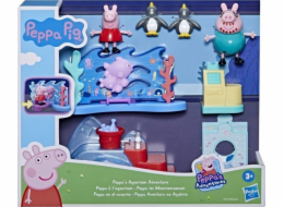 Hasbro Peppa Prasátko Peppa v mořském muzeu, figurka na hraní