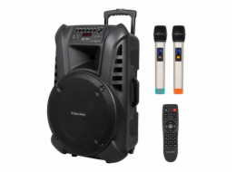 Active Speaker Cabinet (with 2 wireless microphones UHF  SD  Bluetooth  FM  USB) 60 Watt