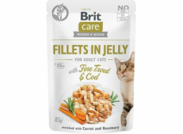 Brit CARE KOT saszetka FJ FINE TROUT&COD /24 85g