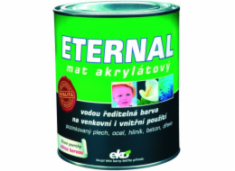 Eternal mat akryl 0,7 kg 06 zelená