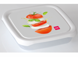 Box jídelní 0,5 l s potiskem plast