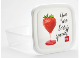 Box jídelní 1 l s potiskem plast