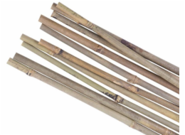 Podpěra rostlin bambus Garden KBT 1200/12-14 mm 10 ks