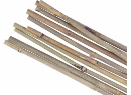 Podpěra rostlin bambus Garden KBT 1500/16-18 mm 10 ks