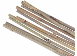 Podpěra rostlin bambus Garden KBT 2100/14-16 mm 10 ks