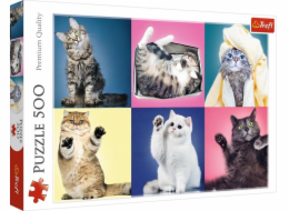 Puzzle koťata 500 prvků