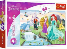 Trefl Puzzle 60 dílků Seznamte se s princeznami 17361 TREFL