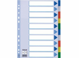 Esselte A4 Plastic Segregator 10 karet (10K217A)