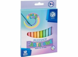 Astra CX pastelové fixy, 12 barev
