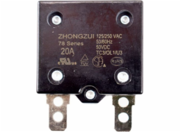 Wewless 20A 12V Automatické pro vozidla