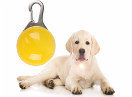 LED LED LED LED LED pro psí límec, kočičí přívěsek