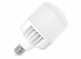 Žárovka LED 50 W/E27/5000