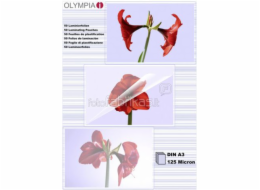 1x50 Olympia Lamin. folie DIN A3 125 micron           9175
