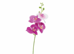 Jumi orchidej single 40 cm