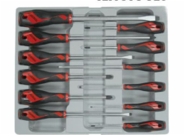 Teng Tools Screwdriver Kit 12 ks. (17821-0100)