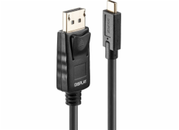 Lindy USB-C – DisplayPort USB kabel 5 m černý (43305)