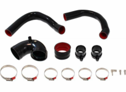 TURBOWORKS_D TUPE BIPE BMW M2 M3 M4 3,0T S55