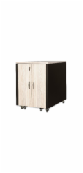 Digitus 17U SOUNDproof stojan, javorový dekor 1 000 x 750 x 1130 mm, černý (RAL 9005)