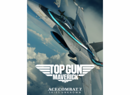 ESD Ace Combat 7 Skies Unknown Top Gun Maverick Ai